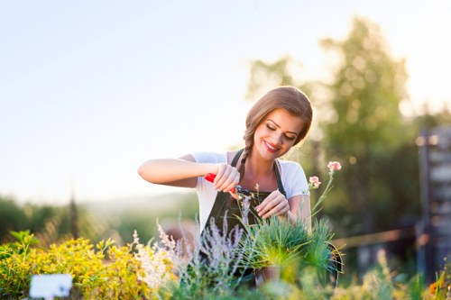 Lawn mower cutting grass in a well-maintained garden