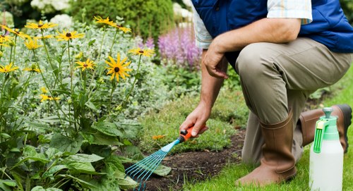 Various types of lawn mowing equipment displayed outdoors
